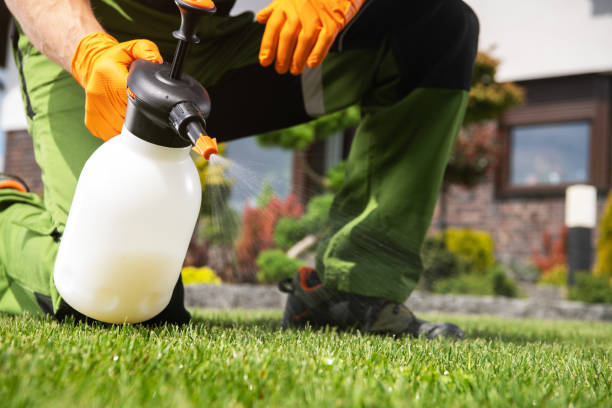 Best Residential Pest Control  in Spring Park, MN
