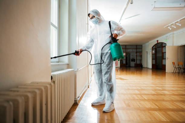Best Pest Removal Services  in Spring Park, MN